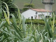 -光明小镇欢乐田园