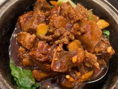 牛腩煲-文兴酒家(Chinatown - Gerrard Street)
