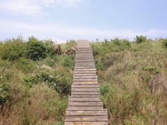 -白草畔自然风景区