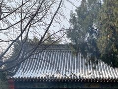 -洛阳白马寺