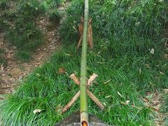 -梦姑塘文化公园
