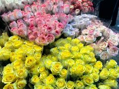 -循礼门鲜花花市(武汉循礼门店)