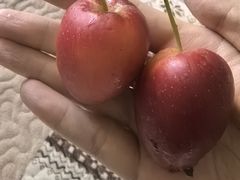 -北国超市(西美花街生活工场店)