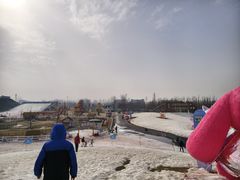 -绿野森林乐园冰雪季