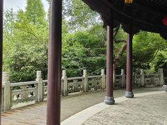 -八大山人梅湖景区