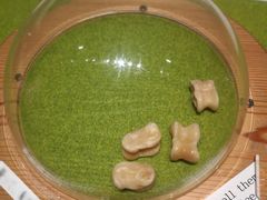 -东京国立博物馆