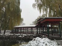 -北京动物园