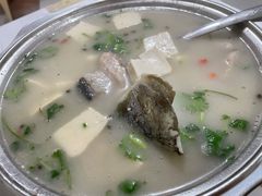 煲汤-煲来饱去冷水鱼