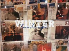 -树懒黑胶唱片店(中山路店)