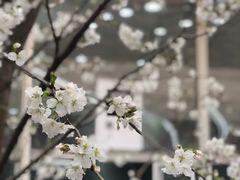 -COFFEE CALL(云锦路店)