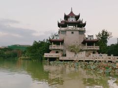 -东湖公园