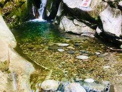 -黑河国家森林公园