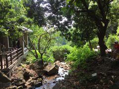 -火炉山森林公园