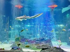 -沈阳海洋探索中心