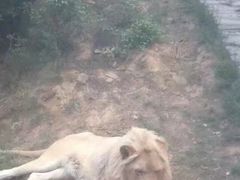 -石家庄市动物园