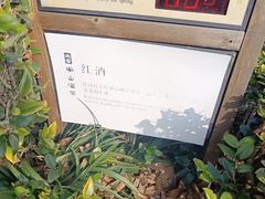 -天目湖涵田半山温泉