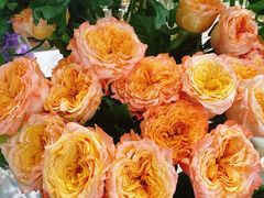 -森野花艺培训·企业团建活动沙龙