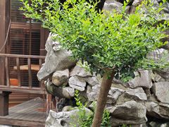 -漫渡庄绿岛花园•隐世庭园菜(滨湖店)