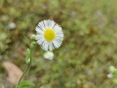-白塘生态植物园