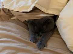 -闪电修企业手机电脑回收(西湖风景名胜区店)