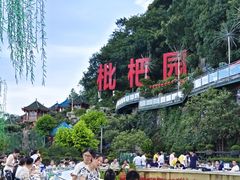 -枇杷园食为鲜火锅(南山店)