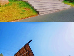 -阳台山森林公园