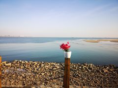 -月坨岛华清月府温泉酒店