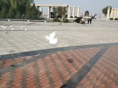 -泰达航母主题公园