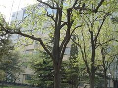 -北京邮电大学