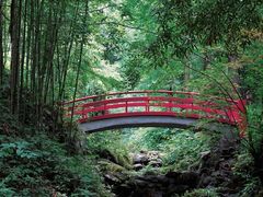 -青城山