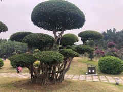 -南宁南湖公园