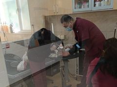 -美联众合动物医院·24h京西诊疗中心