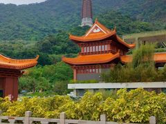 -深圳仙湖植物园