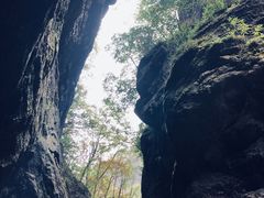 -牛背梁国家森林公园