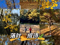 -森林公园(尖草坪区)