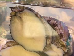 -四海蒸鲜蒸汽海鲜自助(北戴河店)