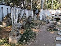 -徐州龟山景区