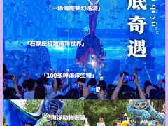 -石家庄极地海洋世界
