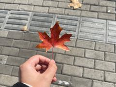 -八两八金·莱芜特色炒鸡(市南漳浦路店)