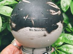 -吴山山·椰子酸奶(天河南店)