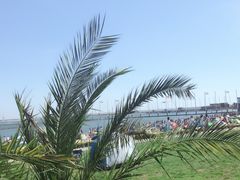 -碧海金沙
