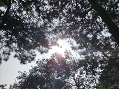 -香山公园