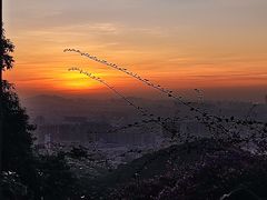 -广州市白云山风景名胜区