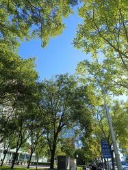 点击看大图 -Oasis Beauty水磨坊科技美肤中心