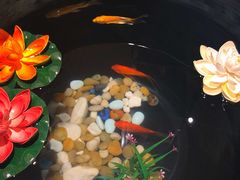 -宴西湖(滨湖公园店)