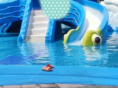 -重庆海昌加勒比海水世界