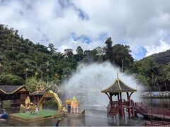 -西双版纳原始森林公园