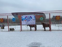 -沈阳奥体冰雪嘉年华