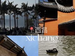 -西昌邛海湿地