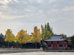 -大雁塔北广场音乐喷泉